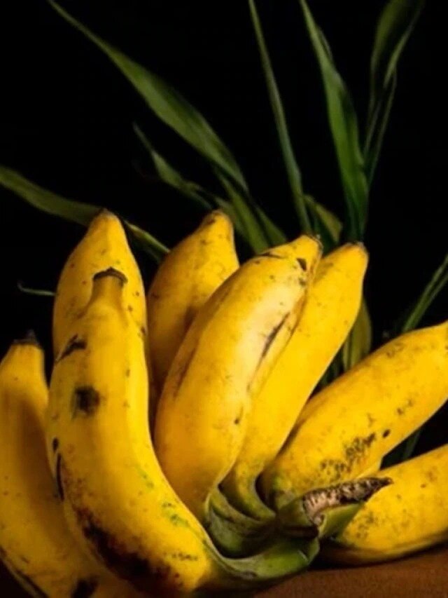 কাঁচা না পাকা কোন ধরনের কলা খেলে ওজন কমে?