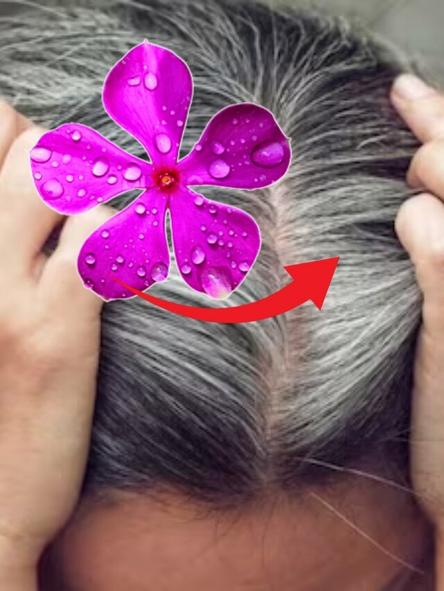 ক্ষতিকর হেয়ারডাই ছাড়ুন, এই ফুলেই পাবেন ঘন কালো চুল