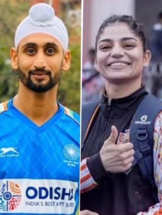 टीम इंड‍िया के ये 2 ख‍िलाड़ी बन रहे जीवनसाथी, इस तारीख को होगी शादी