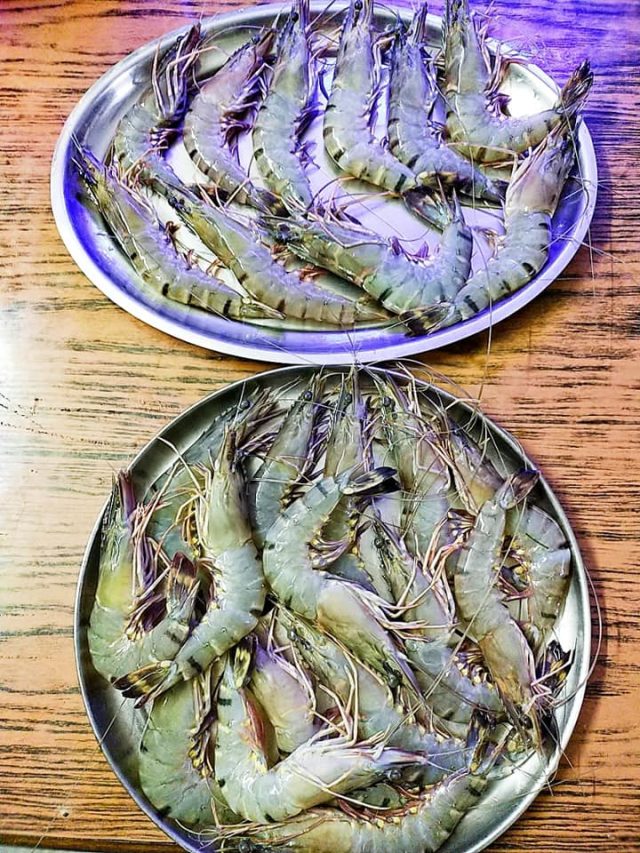 চিংড়ির এই অংশ বেছে খাচ্ছেন তো? অ্যালার্জি নিশ্চিত