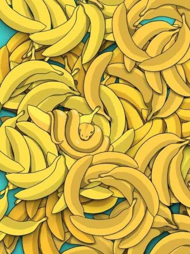 तस्वीर में छिपे सांप को खोज पाएंगे आप, 10 सेकंड का चैलेंज