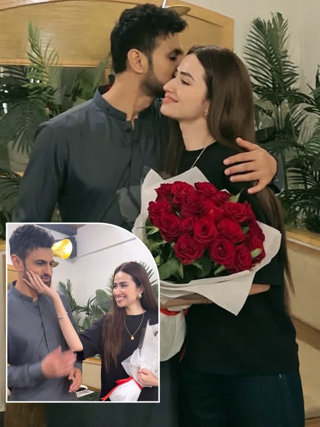 प्रेग्नेंट हैं शोएब मलिक की तीसरी पत्नी, दूसरी बार पिता बनेंगे क्रिकेटर? जानें सच