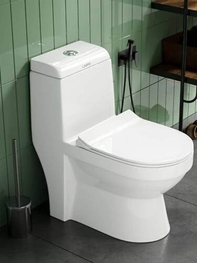 কমোড এত সাফ হবে যে আয়নার মতো মুখ দেখা যাবে! ২ জিনিসেই ঝকঝকে করবে