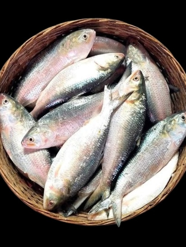 ৬০০ টাকায় টাটকা ইলিশ, কলকাতার এই বাজারে গেলেই পাবেন