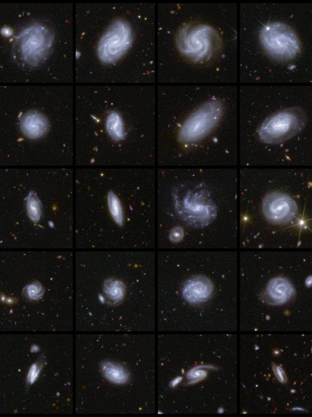 ‘Dark universe exposed’: Euclid captures 26 million galaxies in just one week