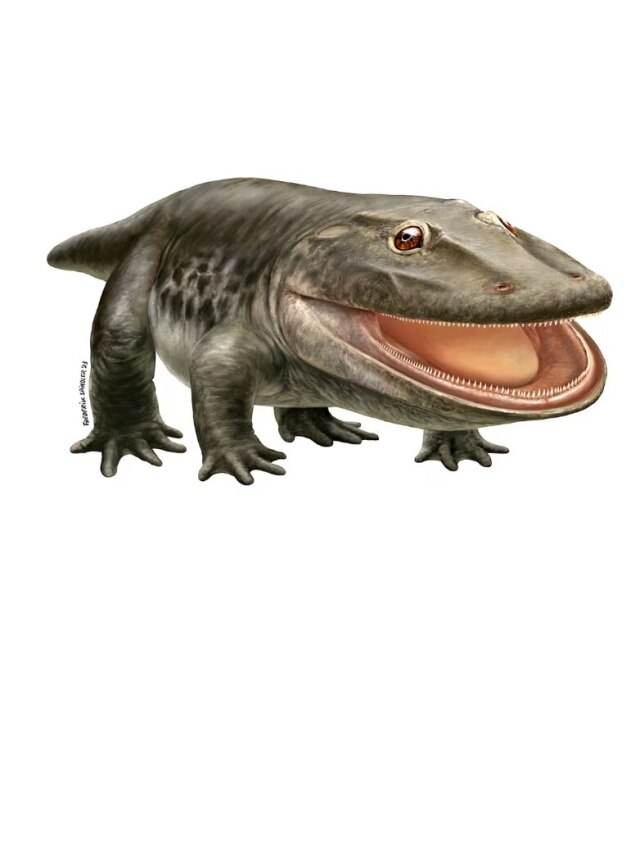 'Survivors of hell': How ancient predators thrived after Earth’s worst extinction