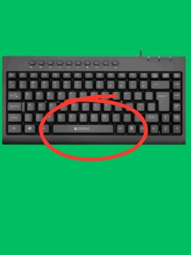 Keyboard-এ স্পেস বার সবচেয়ে বড় হয় কেন? ৯০% মানুষই জানে না