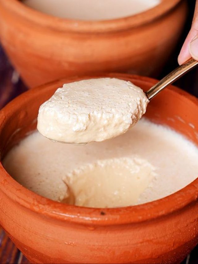 কলকাতার সেরা মিষ্টি দই পাওয়া যায় এই ৯ দোকানে, রইল সব ঠিকানা