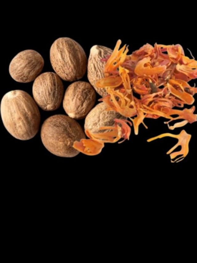 জায়ফল আর জয়ত্রী কোন গাছের থেকে পাওয়া যায়? অনেকেই জানে না