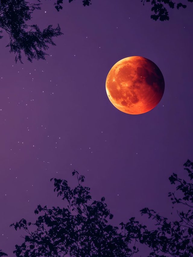 Rahu vs Science: What NASA says about the Blood Moon India can’t see this Holi