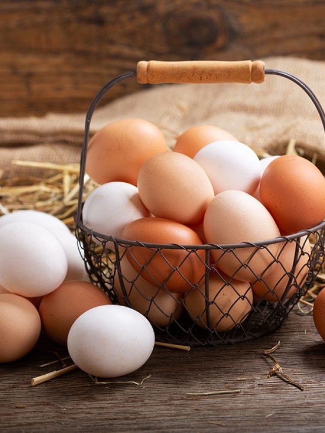 'Scrambling for eggs': With Poland and Finland out, these countries are feeding America