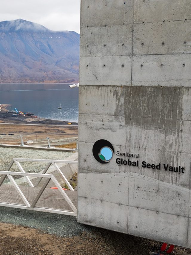 'Earth’s insurance policy': When disaster strikes, this secret Arctic vault will feed the future