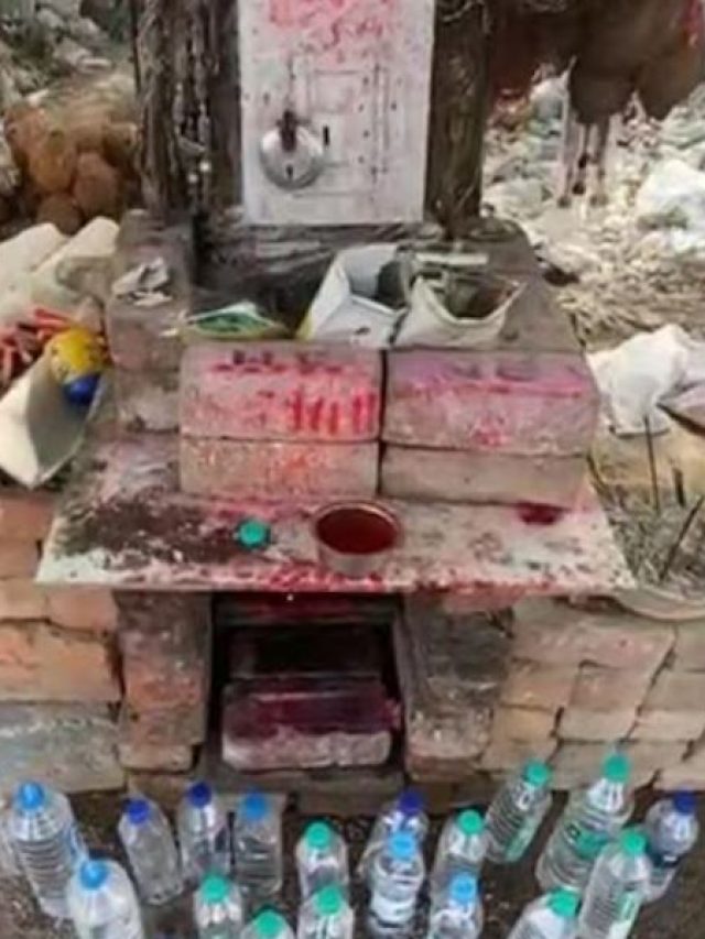 यहां सड़क पर नई पानी की बोतलें क्यों फेंकते हैं लोग? रखें हैं कई कार्टून