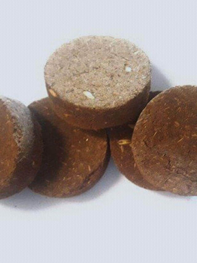 गोबर के उपलों से ऐसे बनाएं खाद, गर्मी से बचे रहेंगे पौधे