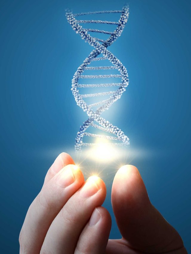 'They never left': DNA shocker reveals 9,000 years of untouched African ancestry