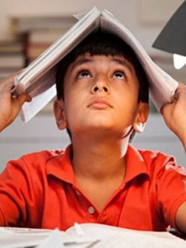 স্টাডি রুমে এই ৫ গাছ রাখুন, অমনোযোগী সন্তান নিজেই বসবে পড়ার টেবিলে