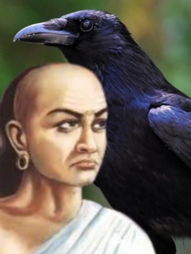 কাকের থেকে এই ৪ গুণ শিখলেই প্রতিটি কাজে সাফল্য, বলছেন আচার্য চাণক্য