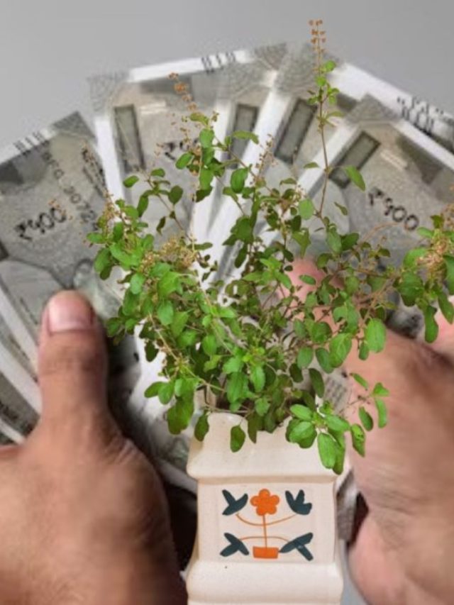 দ্বিগুণ গতিতে বাড়বে আয়, বাড়িতে শুধু এই একটি নিয়ম মেনে চলুন