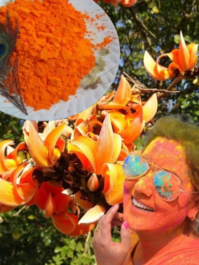 পলাশ ফুল দিয়ে বাড়িতেই বানিয়ে ফেলুন দোলের রং, সহজ পদ্ধতি জানুন