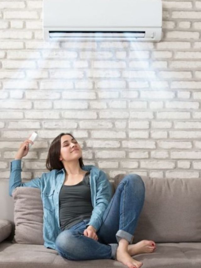 3 স্টার  না  5 স্টার, মধ্যবিত্তের জন্য কোন AC পকেট বাঁচায়?