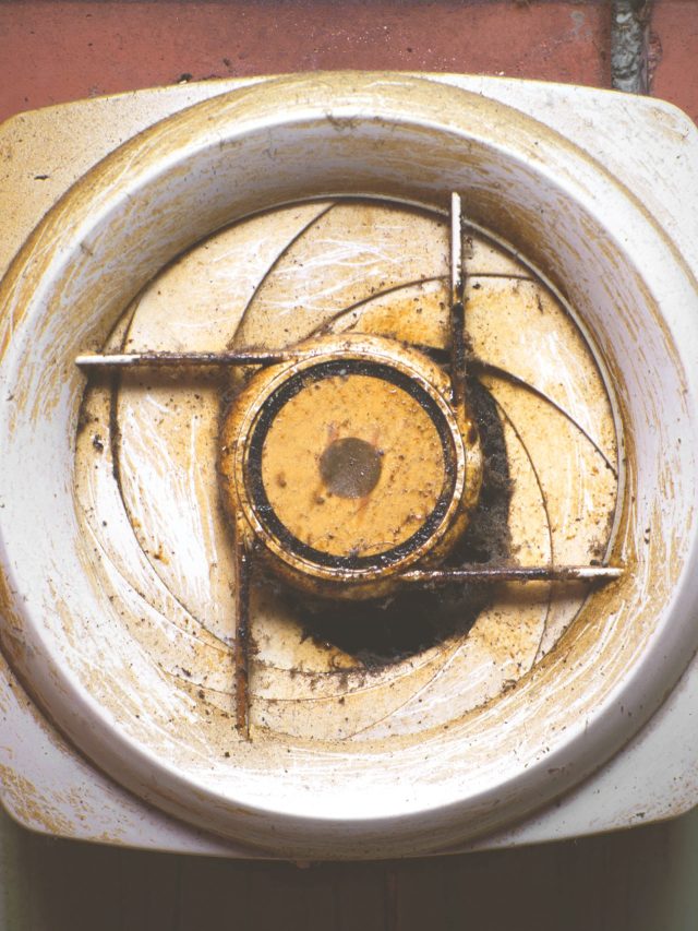 এক স্প্রে-তে এগজস্ট ফ্যানের কালিঝুলি-তেলচিটে ভাব উঠবে; সহজ ট্রিক