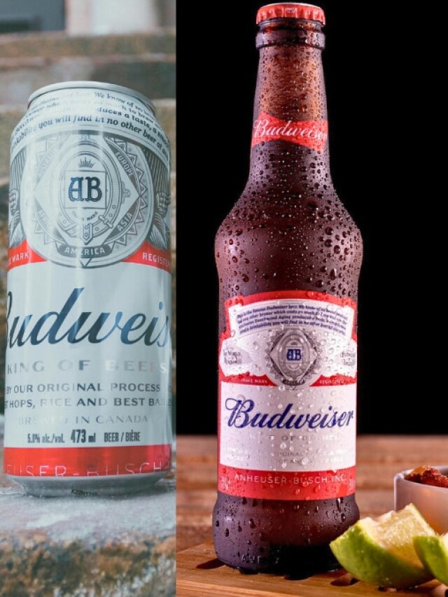 कैन या बोतल, किसमें सस्ती पडे़गी बीयर, क्या ज्यादा फायदेमंद? जानिए