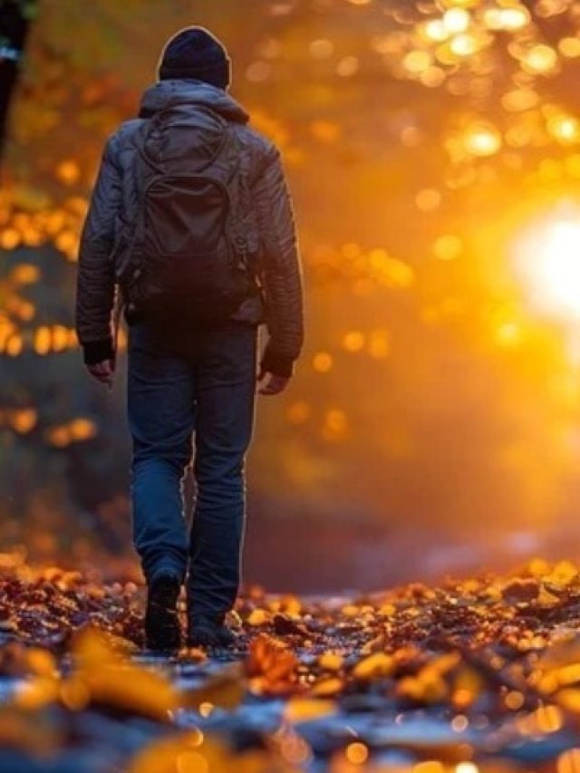 रोज चलते हैं 10000 कदम? जानें ज्यादा फायदे के लिए वॉक के लिए सही समय और जगह