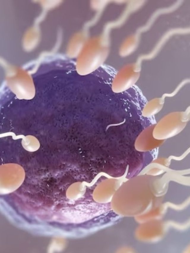 ऐसे पुरुष जीते हैं लंबा जीवन, स्पर्म से है सीधा कनेक्शन, जानें संकेत