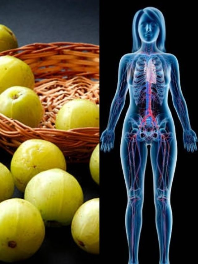 रोज सुबह उठकर गर्म पानी में मिलाकर पी लें आंवले का पाउडर, बीमारियां नहीं फटकेंगी पास