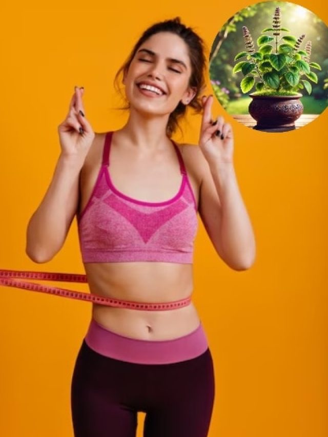 एक हफ्ते में घट सकता है 3-4 Kg वजन! रोज पी लें तुलसी के पौधे के इस हिस्से का पानी