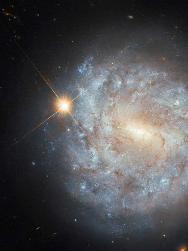 'Supernova Galaxy Revealed': Hubble showcases NGC 4900, home of stellar explosions