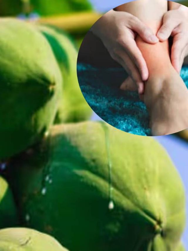 পেঁপের সঙ্গে এটা খেলেই,  ইউরিক অ্যাসিড পালাবে বাপ বাপ বলে