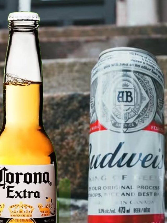 বিয়ারের ক্যান না বোতল কী কিনলে বেশি লাভ?