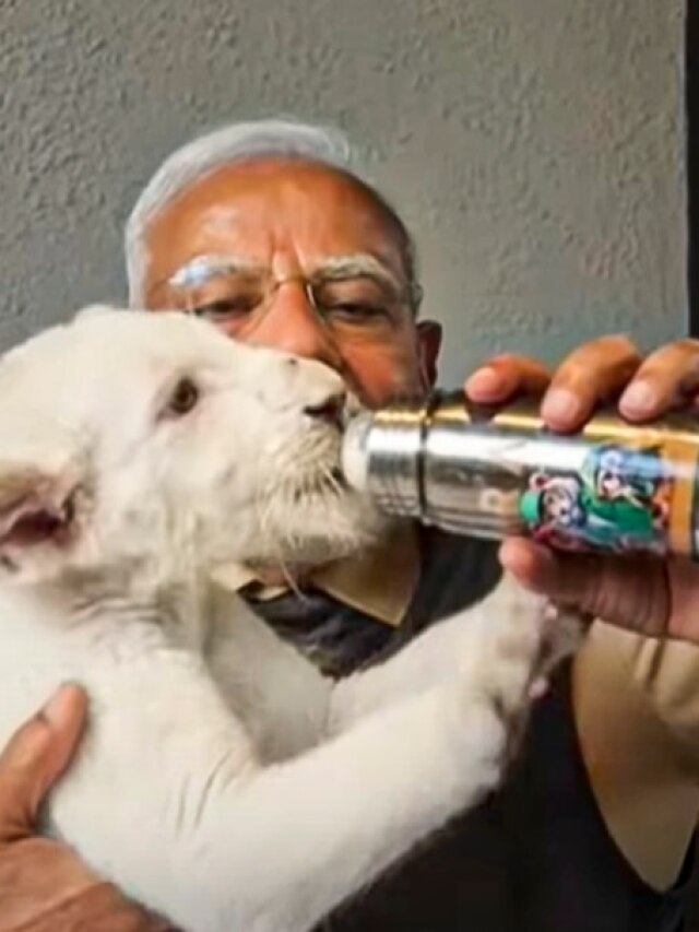 शावकों को पिलाया दूध, हाथी को खिलाए केले... देखें वनतारा में PM मोदी का Video