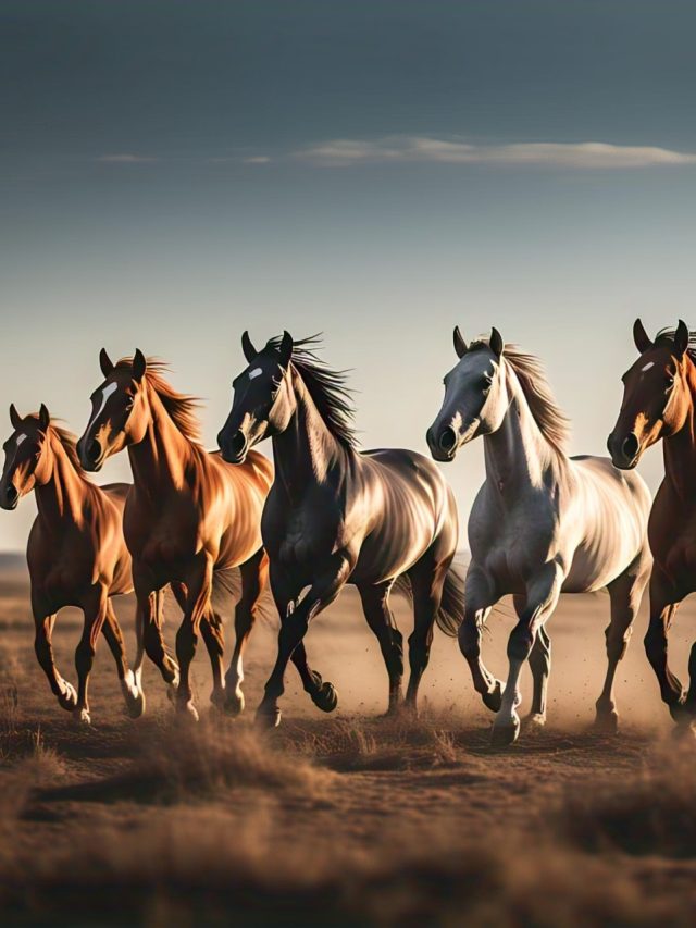 ঘরের এইখানে টাঙান সাতটি ঘোড়ার ছবি, ভাগ্য ঘুরে যাবে