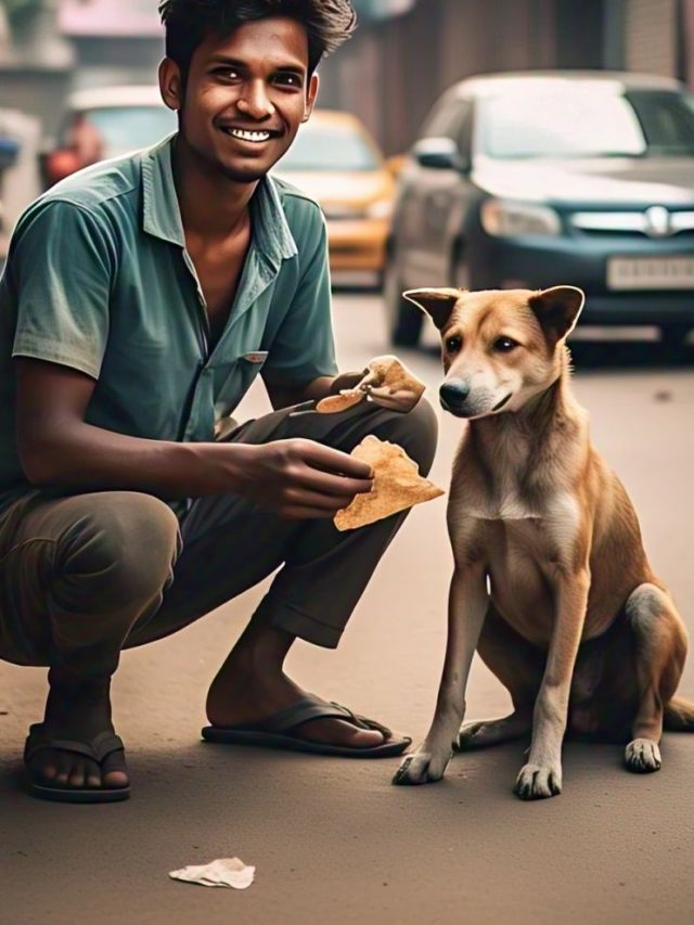 রোজ শেষ রুটিটা কুকুরকে খাওয়ান? শুভ নাকি অশুভ? জানলে আঁতকে উঠবেন