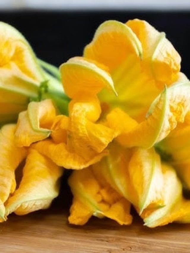 দৃষ্টিশক্তি বাড়ায় এই ফুল, বড়া বানিয়ে খেলেই চমৎকার