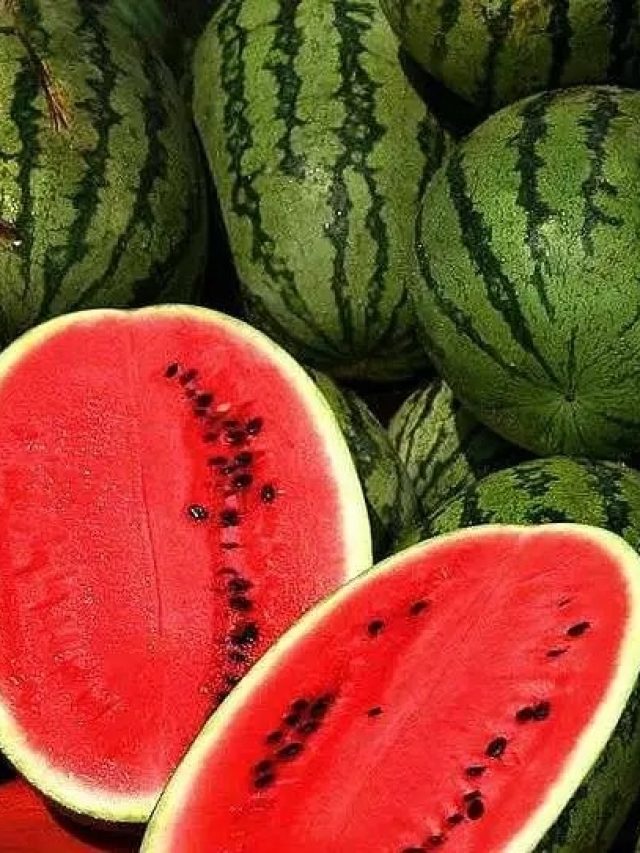 টোকা দিয়েই বুঝে যাবেন, তরমুজ মিষ্টি-রসালো নাকি পানসে? কায়দাটা শিখে নিন