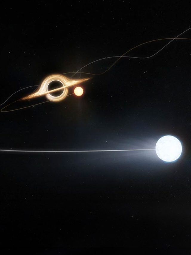 ‘Stealthy giant’: A massive Black Hole has been hiding right besides us