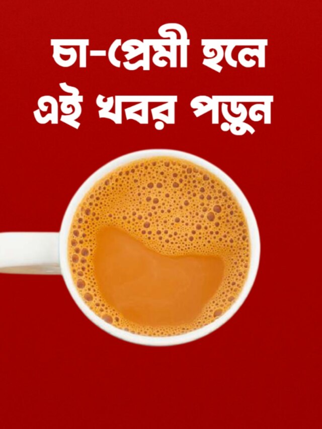 দিনে সর্বাধিক ক'কাপ চা খাওয়া যেতে পারে? স্বাস্থ্য নিয়ে সাবধান
