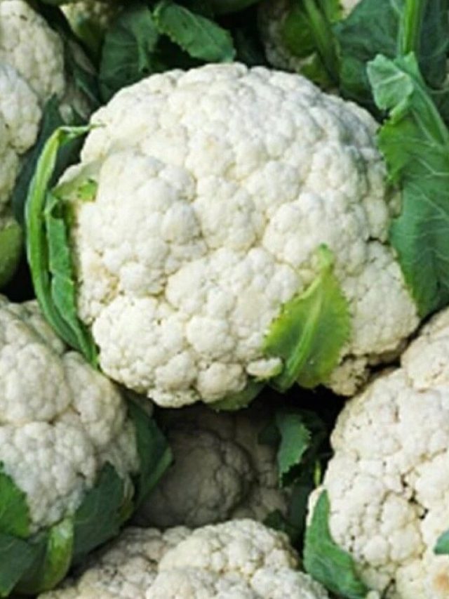 সারাবছর খেতে পারবেন ফুলকপি, কীভাবে সংরক্ষণ করবেন?