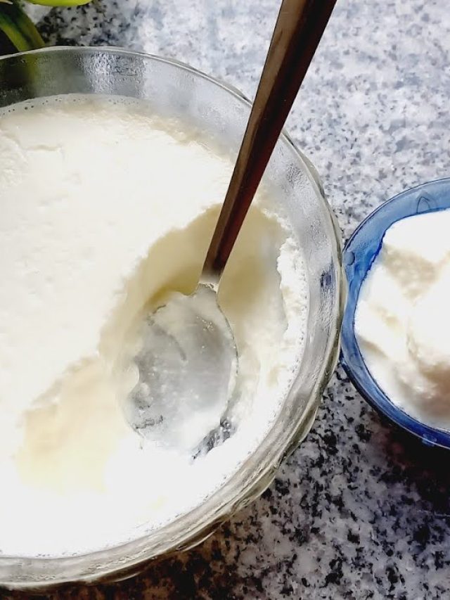 দইয়ের ছাঁচ ছাড়াই বানান থকথকে টক দই, লাগবে এই জিনিস; টিপস