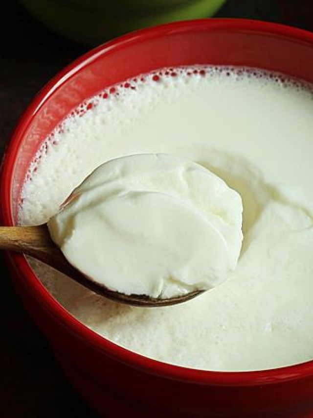 বৃষ্টির দিনে ভুলেও খাবেন না টক দই, কারণটা জানুন