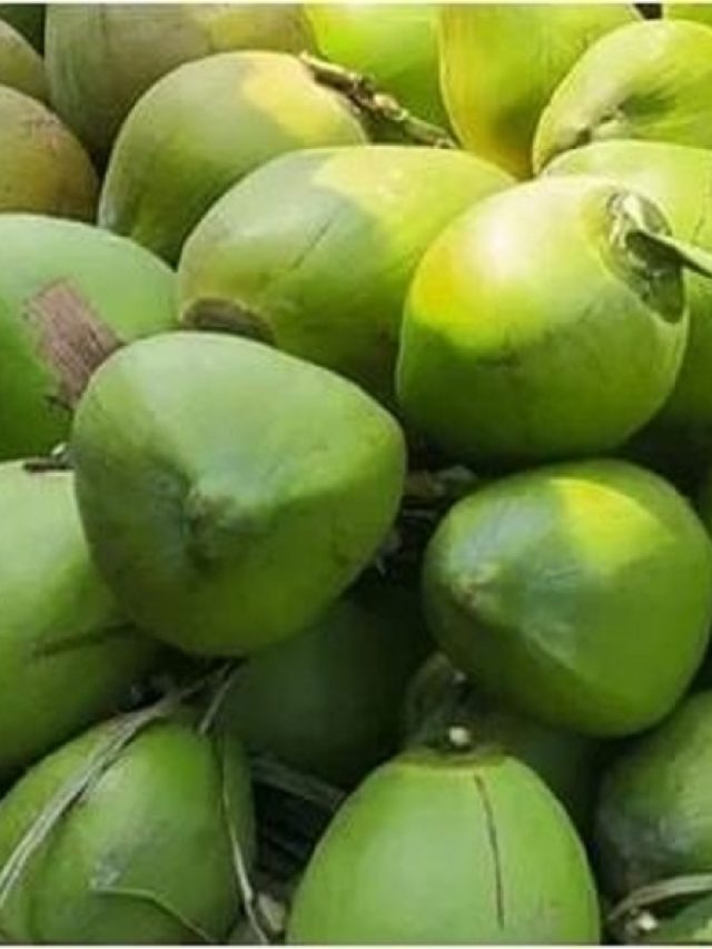 জোরে ঝাঁকিয়ে নিন, ডাবে বেশি জল না শাঁস বুঝুন এই উপায়ে