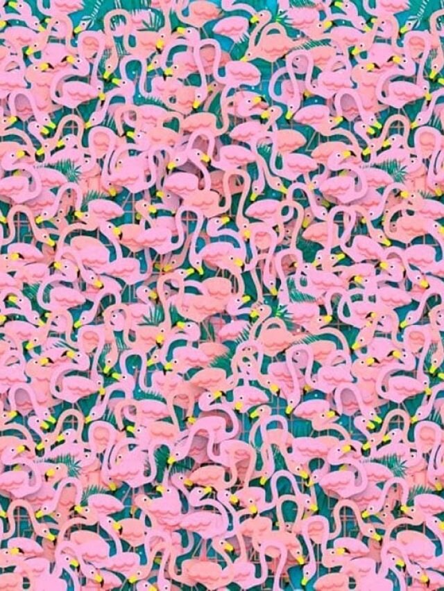 तस्वीर में छिपी डांसर को खोज पाएंगे आप, 10 सेकंड का चैलेंज