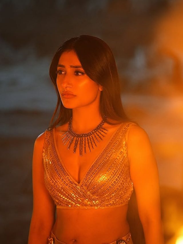 'गैरों के ब‍िस्तर पर अपनों का सोना देखा', तलाक के बीच धनश्री का नया गाना रिलीज