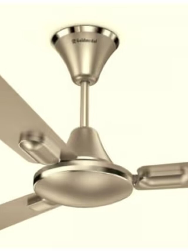 गंदे-काले पंखे को बिना सीढ़ी और खर्च की मदद से ऐसे करें साफ, 5 मिनट में पूरा होगा काम