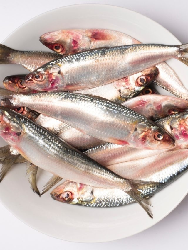 বাংলার এই ২ মাছ খেলে পেটে জমবে পারদ, দেখুন তালিকা