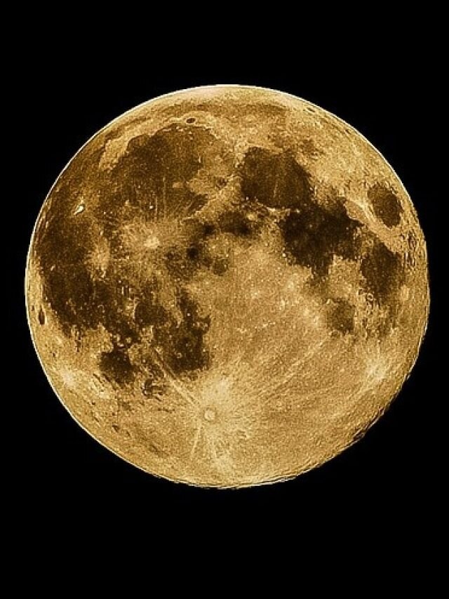 फाल्गुन पूर्णिमा आज, भूलकर न करें ये गलतियां, मां लक्ष्मी हो जाएंगी नाराज