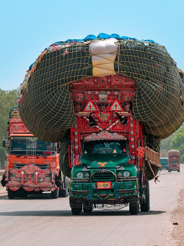 पाकिस्तान से ये चीजें खरीदता है भारत, खाने से लेकर पहनने तक में होती हैं यूज